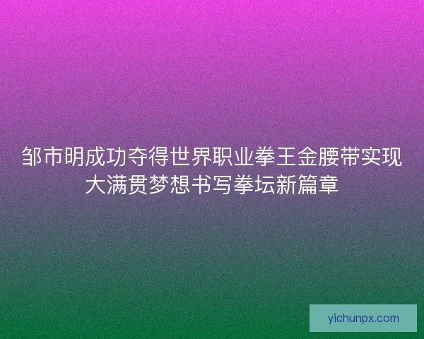 邹市明成功夺得世界职业拳王金腰带实现大满贯梦想书写拳坛新篇章