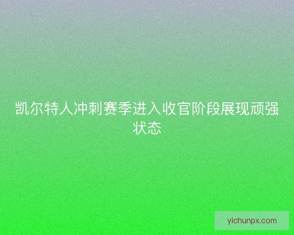凯尔特人冲刺赛季进入收官阶段展现顽强状态